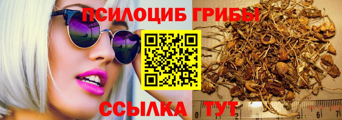 Псилоцибиновые грибы мухоморы  цены   Сергиев Посад  Псилоцибиновые грибы Psilocybe  Вход с VPN 
